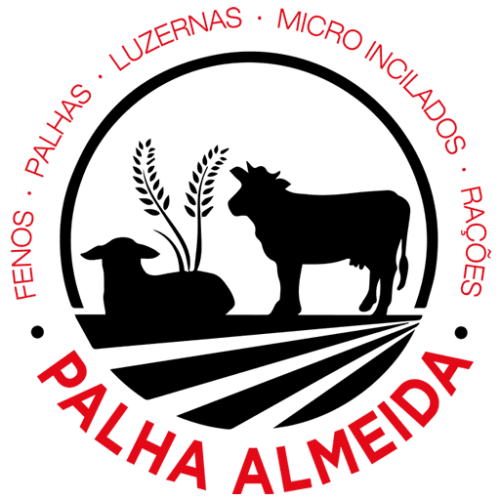 Palha Almeida Palha Almeida